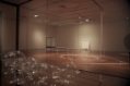 Dane-Mitchell_Install_Dunedin-Gallery_2011.jpg