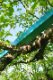 Kilian-Ruethemann_Sticks-and-Trees_2011_02.jpg