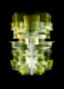 Onorato-Krebs_03(green-yellow)_2012.jpg